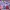 A Bathing Ape Casual Hoody Pria purple cream photo 7