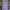 A Bathing Ape Casual Hoody Pria purple cream photo 5