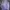 A Bathing Ape Casual Hoody Pria purple cream photo 1