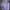 A Bathing Ape Casual Hoody Pria Purple Cream