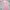 Luxury Minimalist Midi dress Wanita white pink photo 5