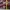 Japanese brand Streetwear Y2K Hoody Pria multicolor photo 7