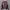 Japanese brand Streetwear Y2K Hoody Pria multicolor photo 1