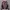 Japanese Brand Streetwear Y2K Hoody Pria Multicolor