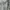 Japanese brand Indie Casual Vest Pria multicolor photo 4