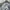 Uniqlo Streetwear Indie Casual pants Pria gray photo 6