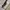 Japanese brand Vintage Biker Denim jacket Pria white photo 5