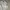 Japanese brand Vintage Biker Denim jacket Pria white photo 3