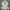 Japanese Brand Vintage Streetwear Hoody Pria White
