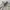 Baracuta Vintage Casual Harrington jacket Pria khaki cream photo 4