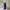Luxury Midi dress Wanita navy photo 1