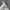 Japanese brand Streetwear Y2K Hoody Pria white photo 5