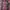 Coach Vintage Y2K Hobo bag Wanita multicolor pink photo 2