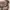 Sophie Martin Vintage Y2K Crossbody Bag Wanita tan photo 2