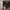 Sophie Martin Vintage Y2K Crossbody Bag Wanita tan photo 5