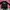National Geographic Vintage Trench coat Pria black photo 1