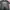 National Geographic Vintage Trench coat Pria black photo 2
