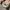 Millet Streetwear Sportswear Windbreaker Pria multicolor photo 5