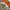 Millet Streetwear Sportswear Windbreaker Pria multicolor photo 8