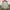 Millet Streetwear Sportswear Windbreaker Pria multicolor photo 3
