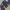 Vintage Y2K Cardigan Wanita navy photo 2