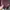 Forever 21 Y2K Jumpsuit Wanita pink photo 4