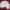 Angel Blue Vintage Coquette Cardigan Kids white photo 1
