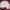 Angel Blue Vintage Coquette Cardigan Kids White
