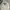 Dickies Streetwear Sweatshirt Pria silver gray photo 1