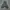 Adidas Vintage Casual Sweatshirt Pria navy gray photo 1