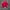 Adidas Vintage Sportswear Jersey Pria burgundy red photo 1