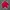Adidas Vintage Sportswear Jersey Pria Burgundy Red