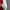 Adidas Vintage Sportswear Jersey Pria burgundy red photo 5