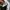 Adidas Vintage Sportswear Jersey Pria white black photo 5
