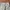 Minimalist Casual Formal pants Pria cream photo 8