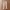 Minimalist Casual Formal pants Pria cream photo 4