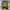 Y2K Sweatshirt Pria black yellow photo 1