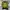 Y2K Sweatshirt Pria Black Yellow