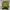 Y2K Sweatshirt Pria Black Yellow