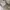 Uniqlo Vintage Streetwear Casual pants Pria cream photo 5