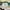 Y2K Crop top Wanita white green photo 1
