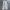 Uniqlo Vintage Streetwear Casual pants Pria white photo 1