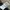 Converse Streetwear Tracksuit Pria white black photo 3
