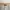 MUSINSA STANDARD Y2K Casual Casual pants Pria cream photo 6