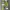 Vintage Casual pants Pria white photo 5