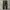 Uniqlo Streetwear Casual Casual pants Pria green photo 4
