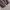 Uniqlo Gorpcore Casual Casual pants Pria red photo 2