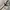 Fila Gorpcore Casual Fleece Pria cream photo 3