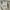 Fila Gorpcore Casual Fleece Pria cream photo 5