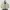 Fila Gorpcore Casual Fleece Pria cream photo 1